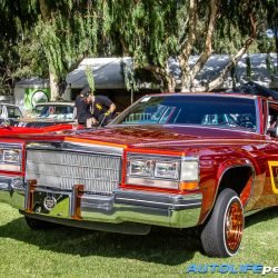 Photoset : Lowwest 2025